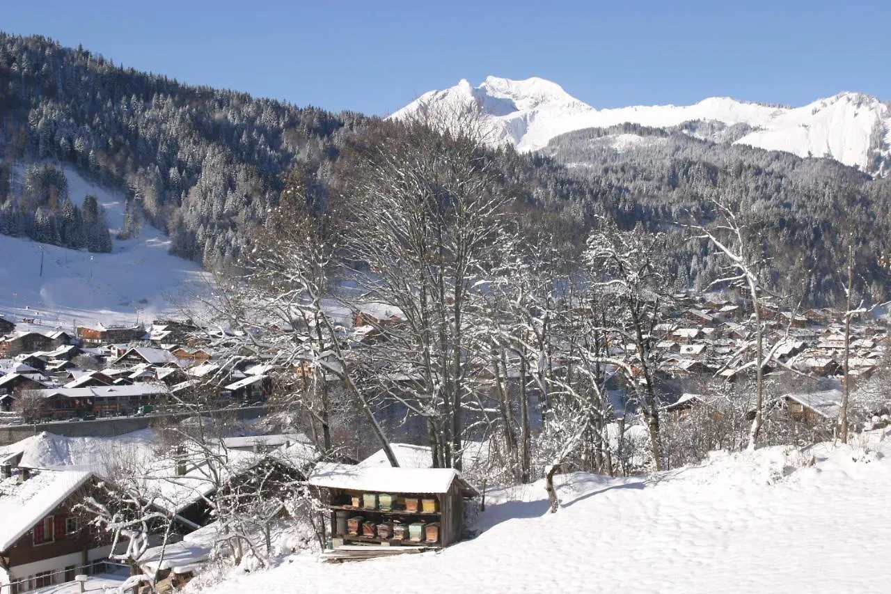 Cordee Cote Sud Apartment Morzine France